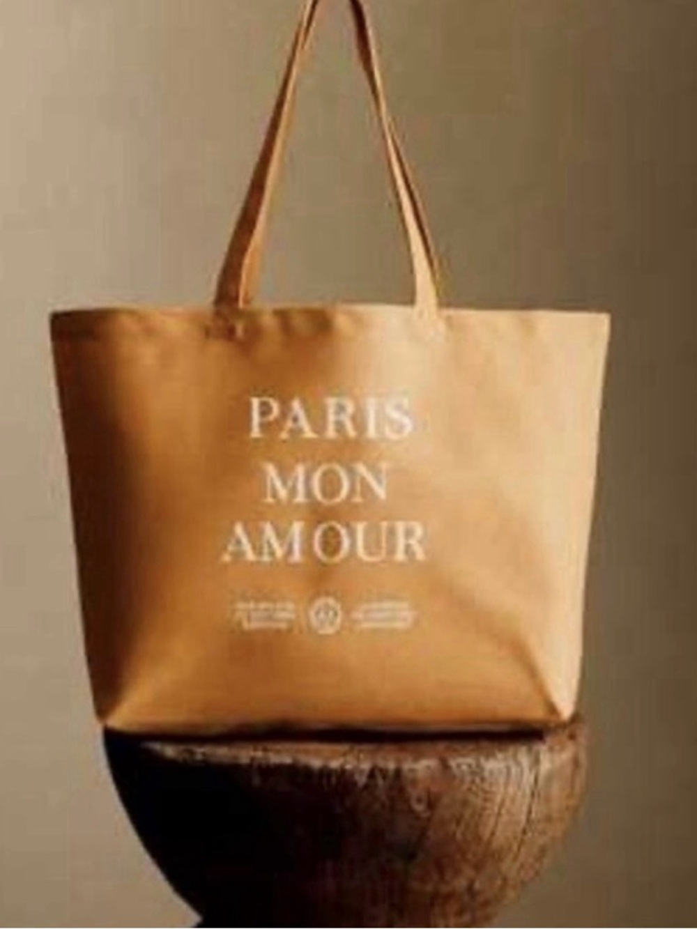 NEW Sezane Canvas Tote